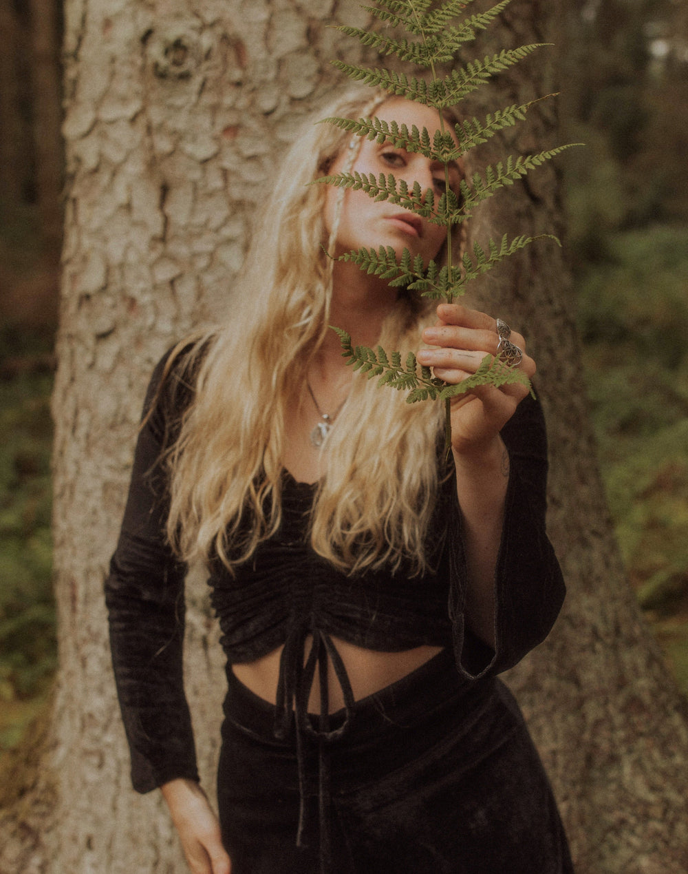 Velvet Sorceress Top