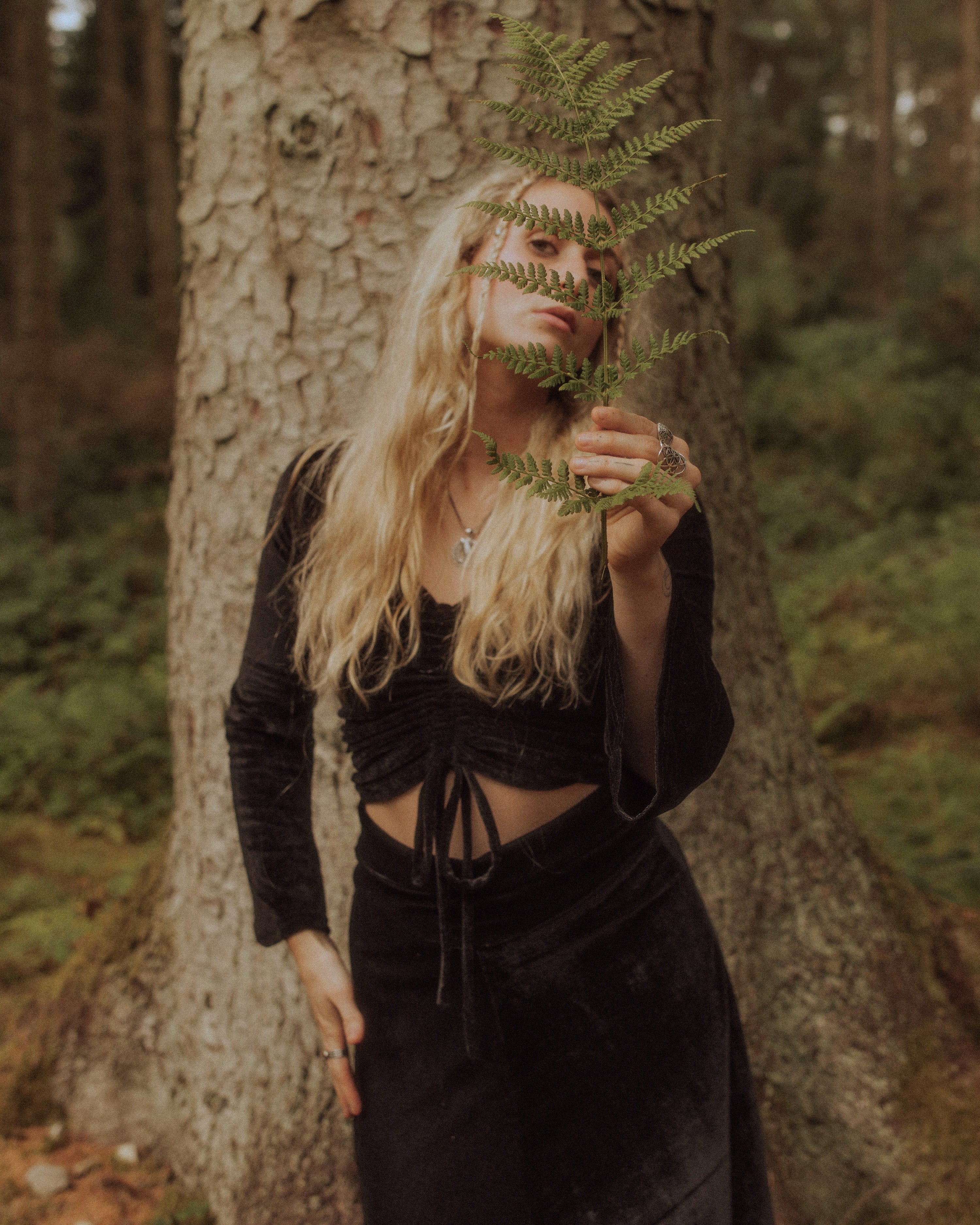 Velvet Sorceress Top
